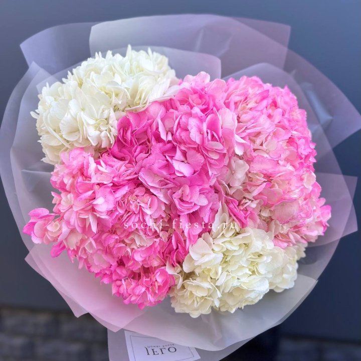 5 бело-розовых гортензий в Нижневартовске