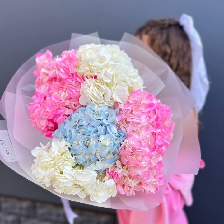 7 гортензий микс в Нижневартовске