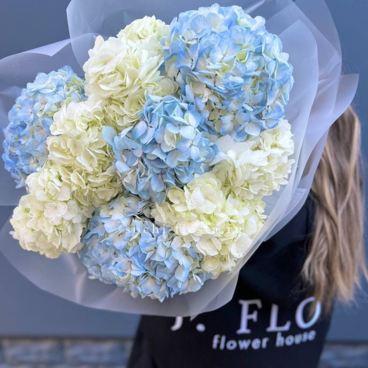 9 бело-голубых гортензий в Нижневартовске