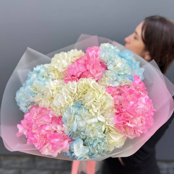 9 гортензий микс в Нижневартовске