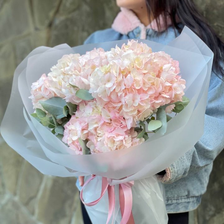 5 розовых гортензий в Нижневартовске