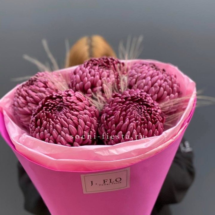 Хризантемы  Бигуди с стифой в Нижневартовске