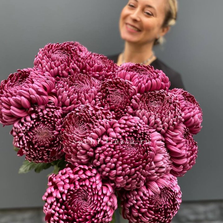 Охапка хризантем Бигуди в Нижневартовске