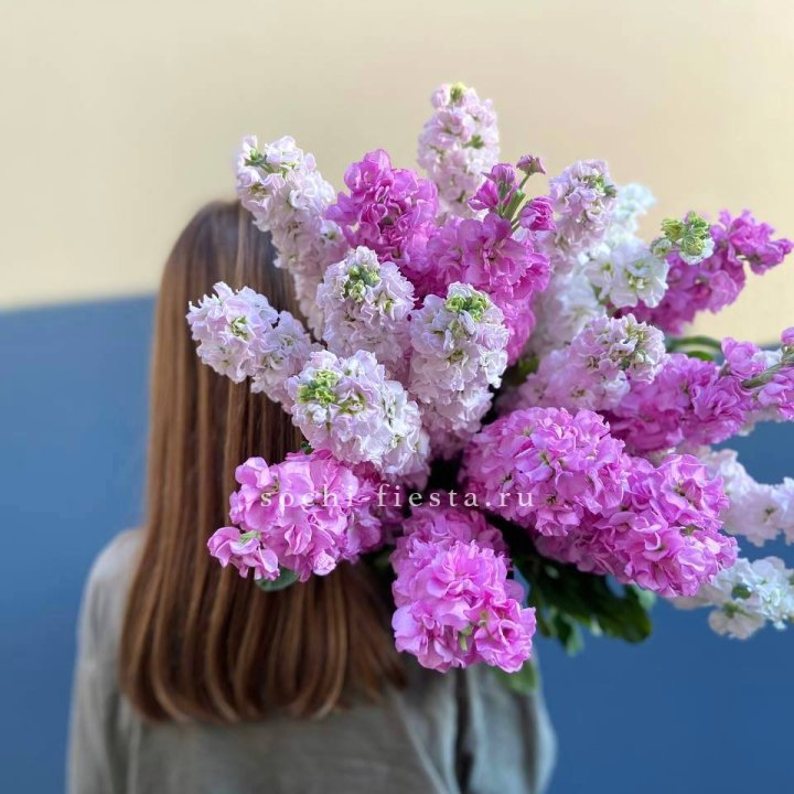 Охапка маттиолы в Нижневартовске