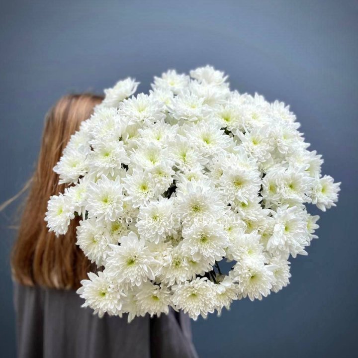 Охапка Хризантемы кустовой в Нижневартовске