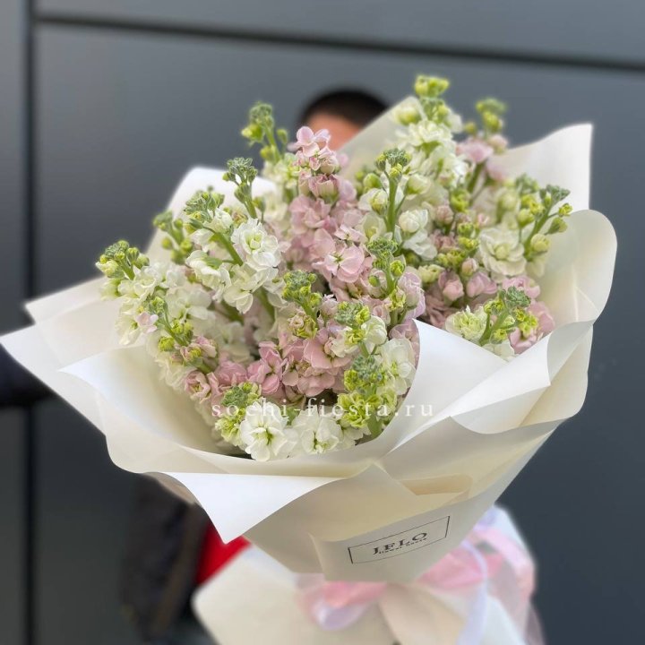 29 маттиол  в Нижневартовске