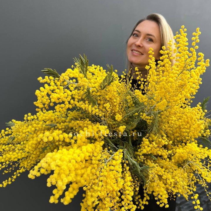Охапка мимозы №2 в Нижневартовске