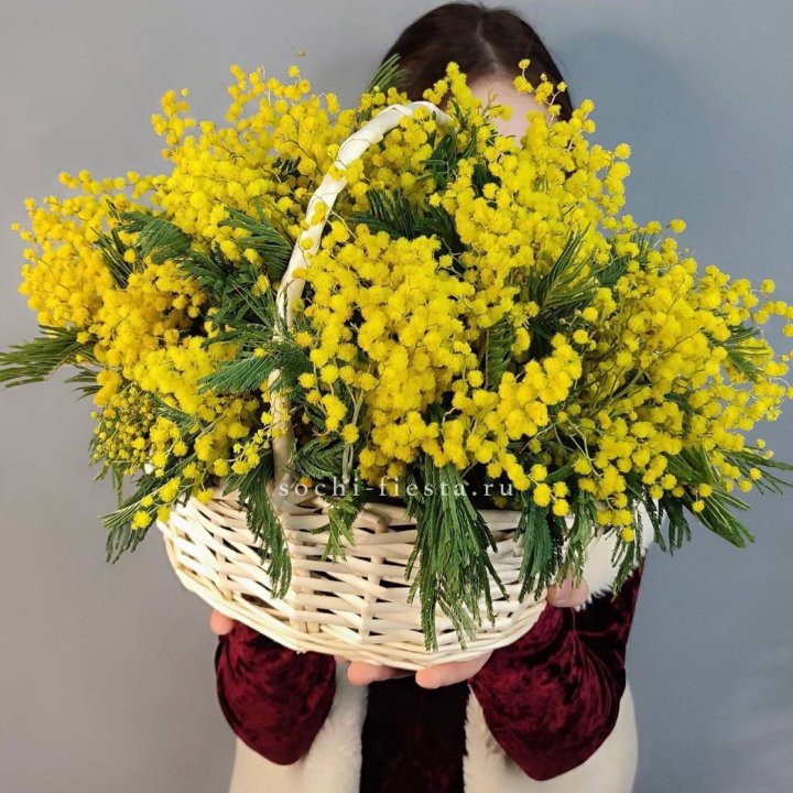 Корзина ароматной мимозы в Нижневартовске