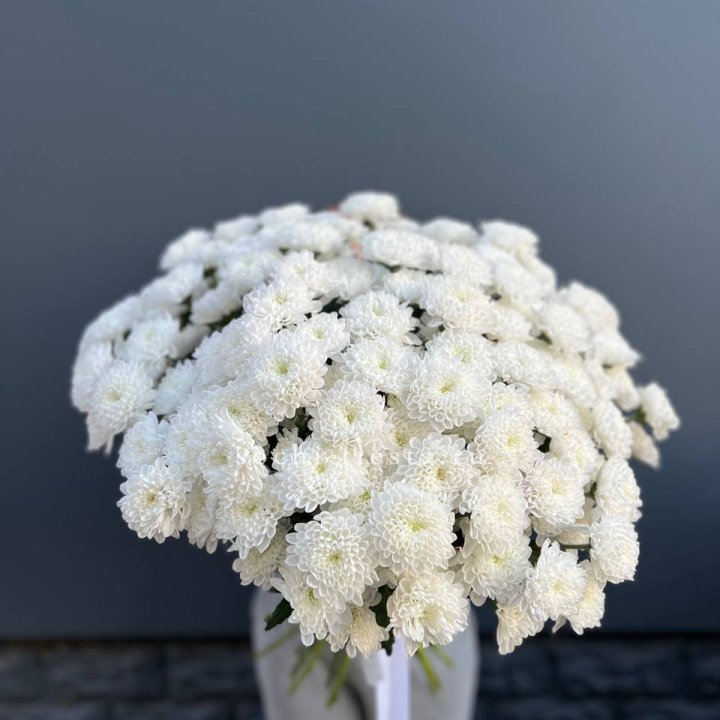  25 хризантем белых в Нижневартовске