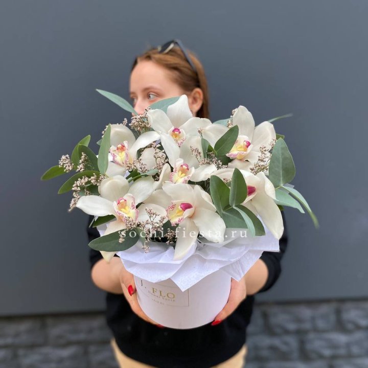 7 орхидей в боксе в Нижневартовске