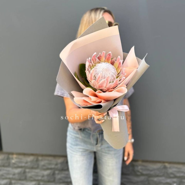 Протея мини  в Нижневартовске