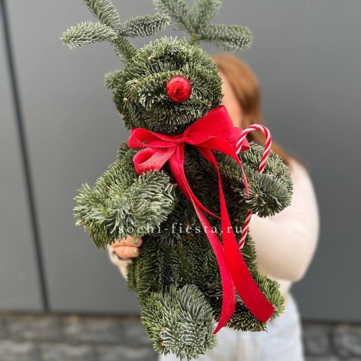 "Олень" из нобилиса в Нижневартовске