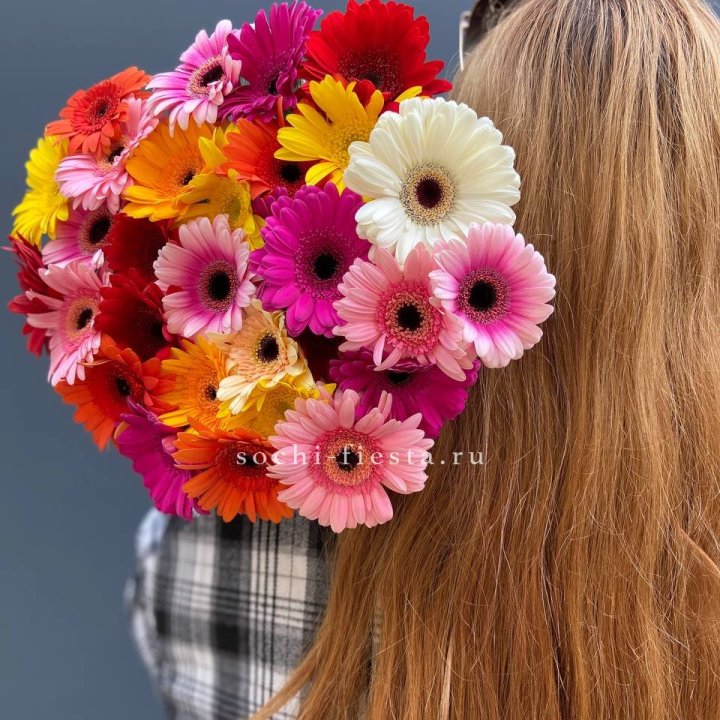 Охапка гербер  в Нижневартовске