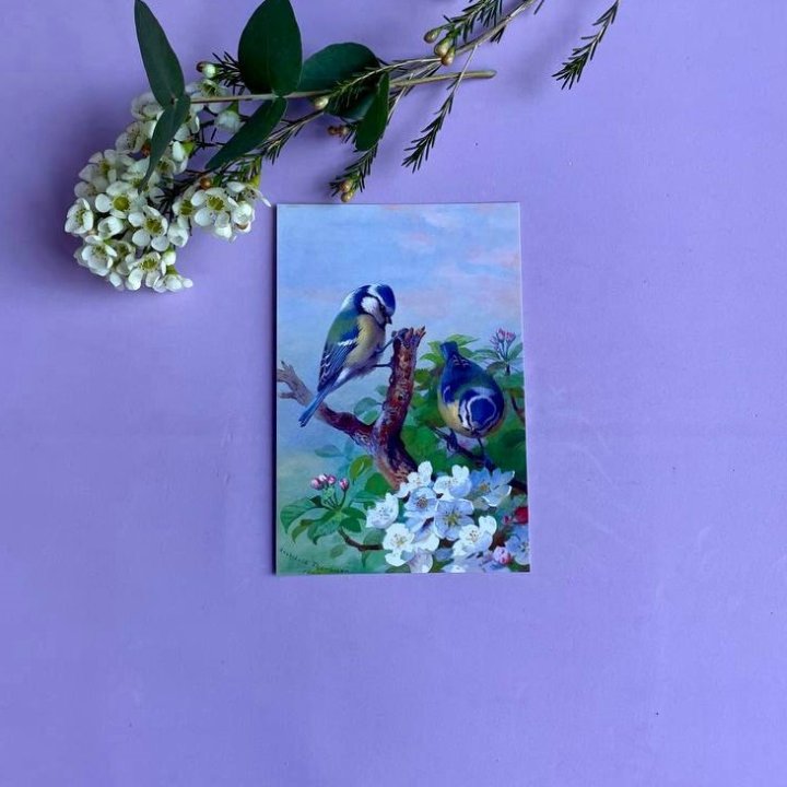 Открытка к букету "Птицы" в Нижневартовске