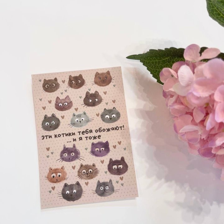 Открытка к букету "Котики" в Нижневартовске