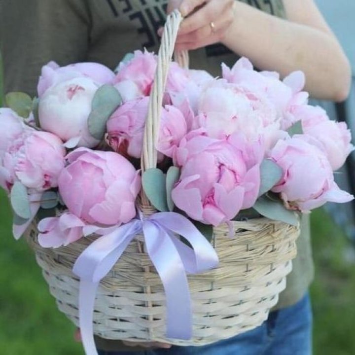 15 пионов в корзине в Нижневартовске