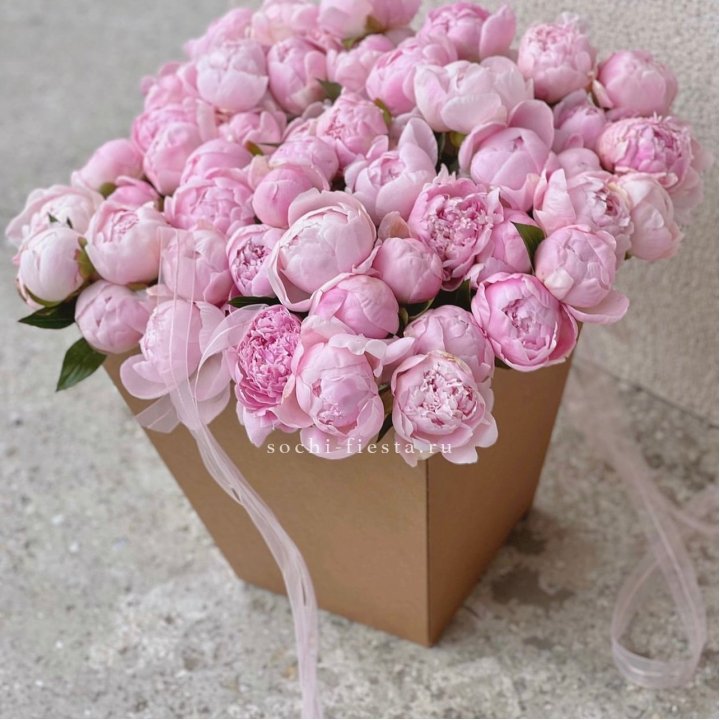 49 пионов в крафт коробке в Нижневартовске