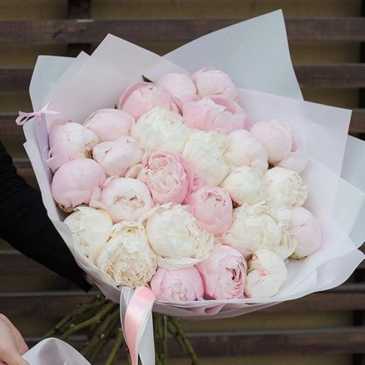 29 пионов в Нижневартовске