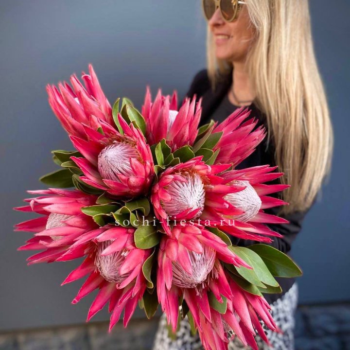 Протея штучно в Нижневартовске