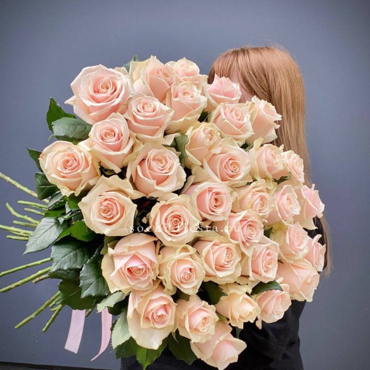 35 кремовых высоких роз в Нижневартовске