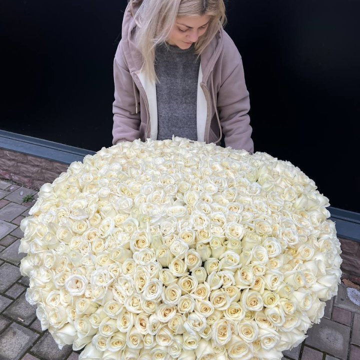 501 белая роза в корзине в Нижневартовске