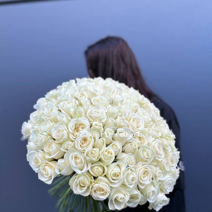 Охапка из 101 белой розы  в Нижневартовске
