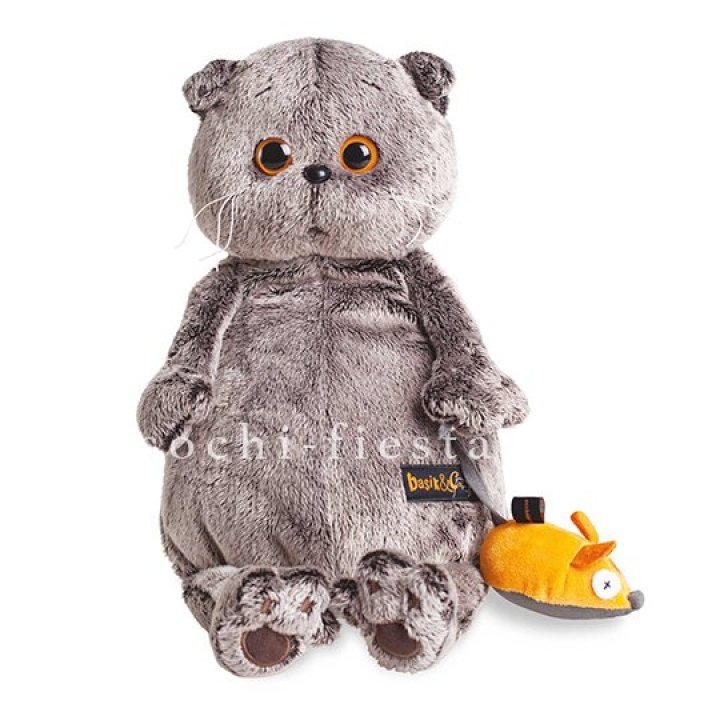 Кот Басик с мышкой в Нижневартовске