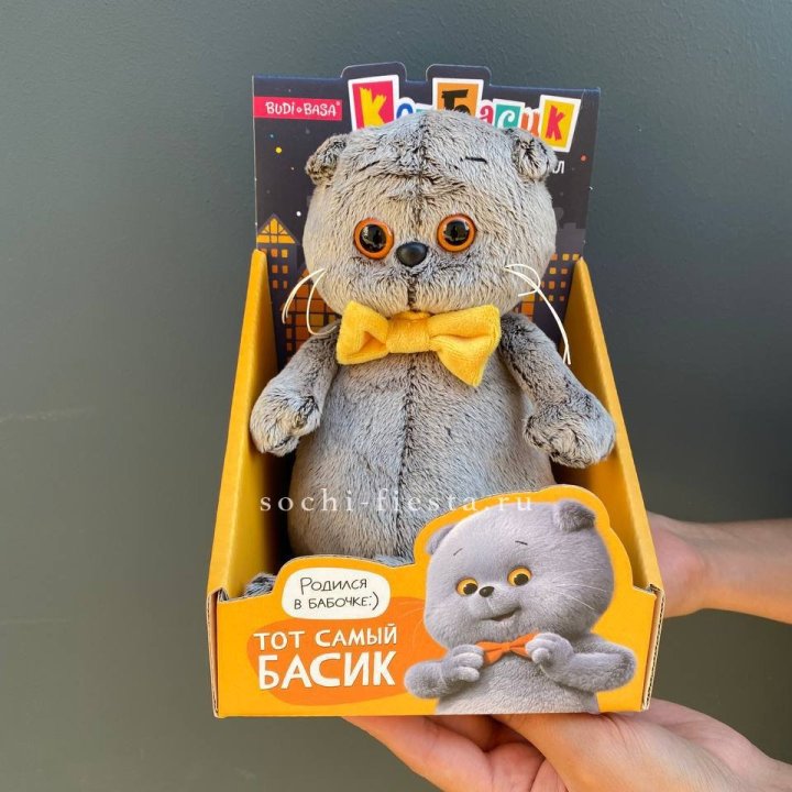 Кот Басик с бабочкой в Нижневартовске