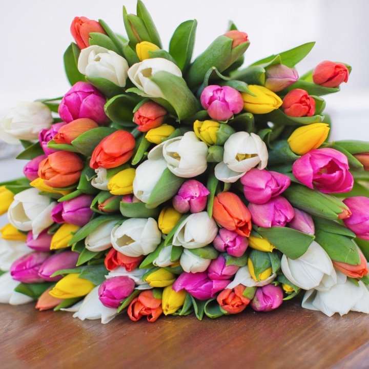 79 тюльпанов "Рандом" в Нижневартовске