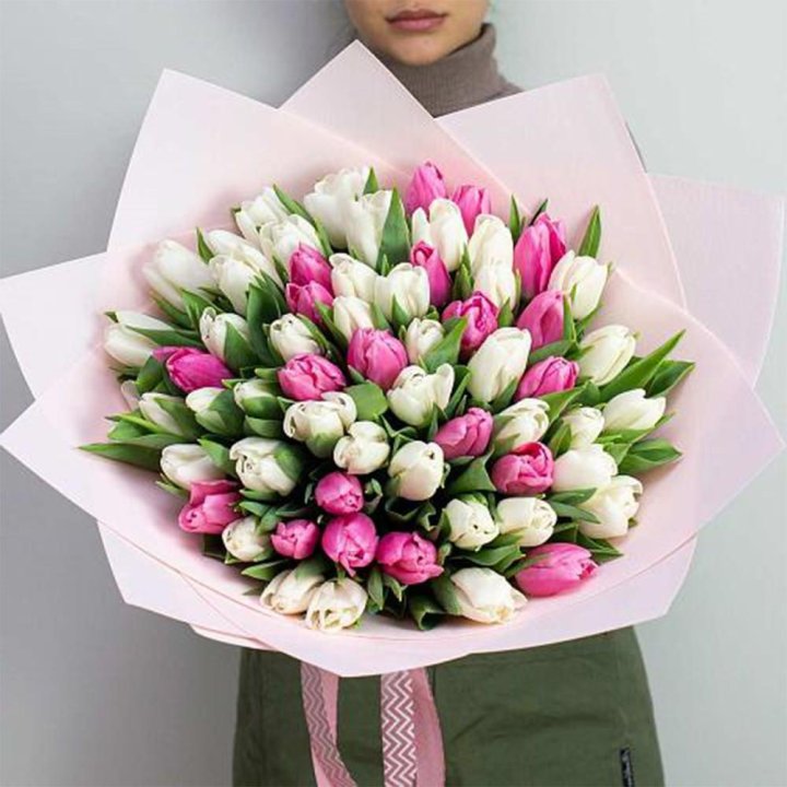 61 бело-розовый тюльпан в Нижневартовске