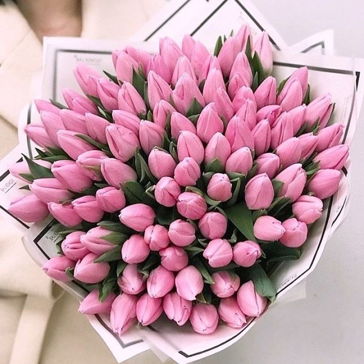 101 розовый тюльпан в белом в Нижневартовске