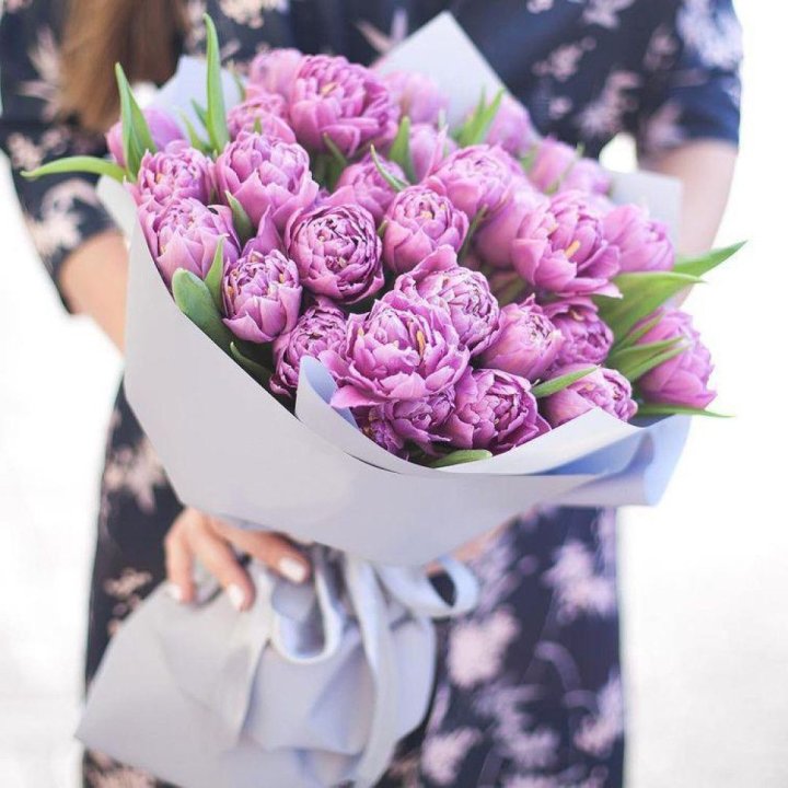 Тюльпаны "Пионс" в Нижневартовске