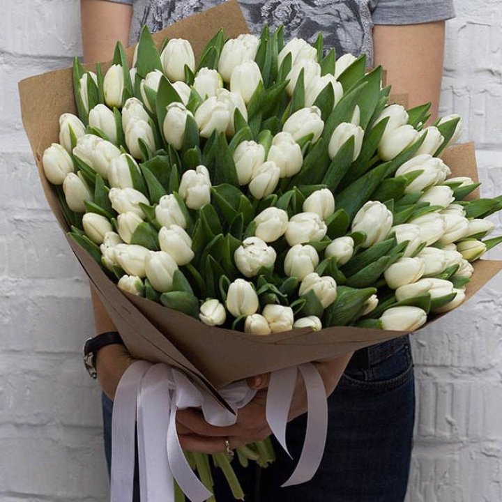 101 тюльпан сноу в Нижневартовске