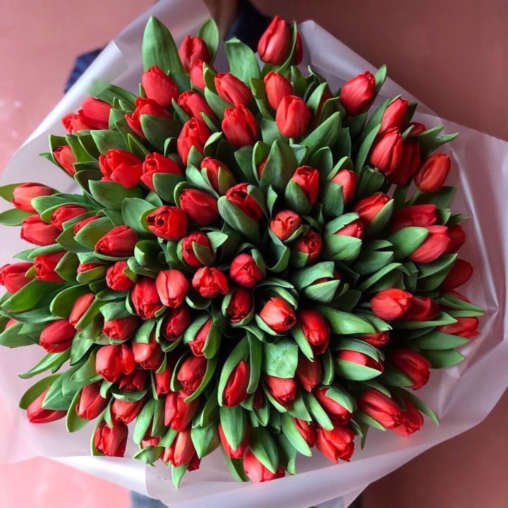 101 красный тюльпан в Нижневартовске